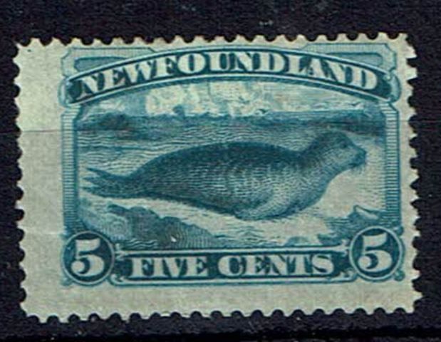 Image of Canada-Newfoundland 48 MM